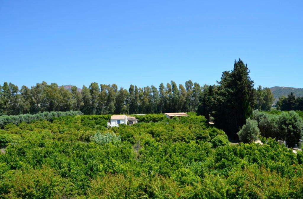 מוראברה Luna&Limoni Country מראה חיצוני תמונה