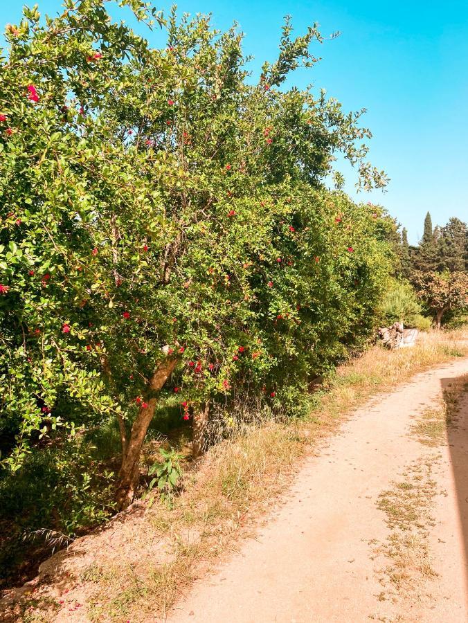 מוראברה Luna&Limoni Country מראה חיצוני תמונה