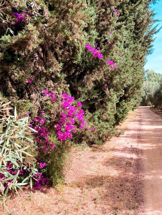 מוראברה Luna&Limoni Country מראה חיצוני תמונה