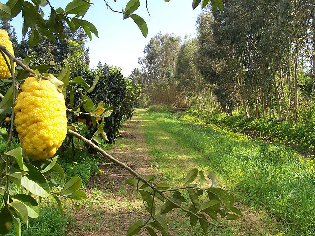 מוראברה Luna&Limoni Country מראה חיצוני תמונה