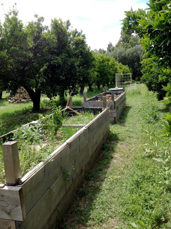 מוראברה Luna&Limoni Country מראה חיצוני תמונה